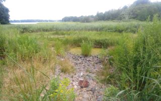 Old Field Conscience Bay Stormwater Treatment and Wetlands Enhancement Project, Old Field, NY